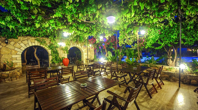 Картинка - 3