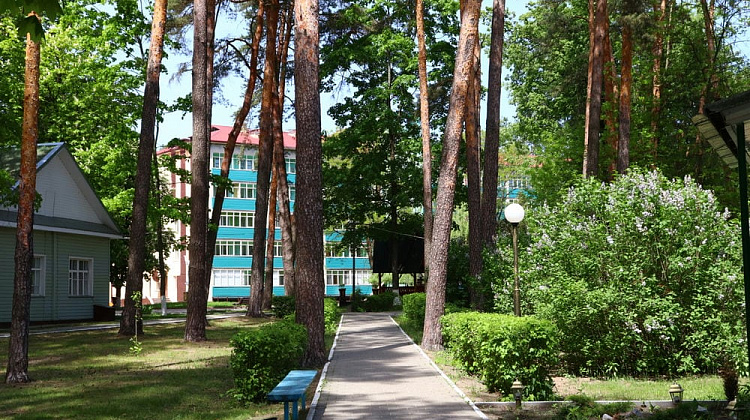 Картинка - 11