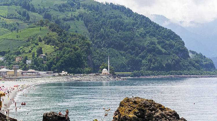 Картинка - 5