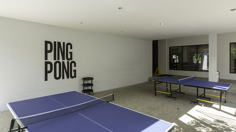 Картинка - 20