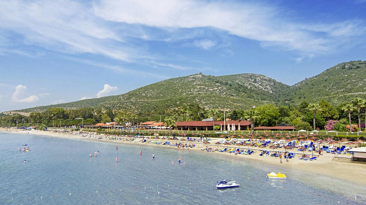 Картинка - 8