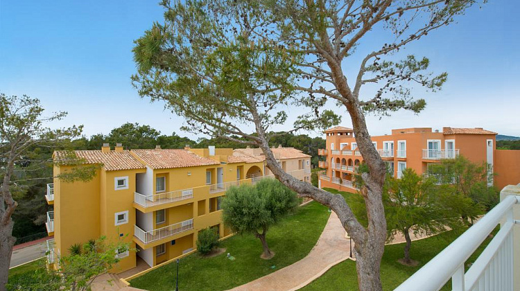 Картинка - 3