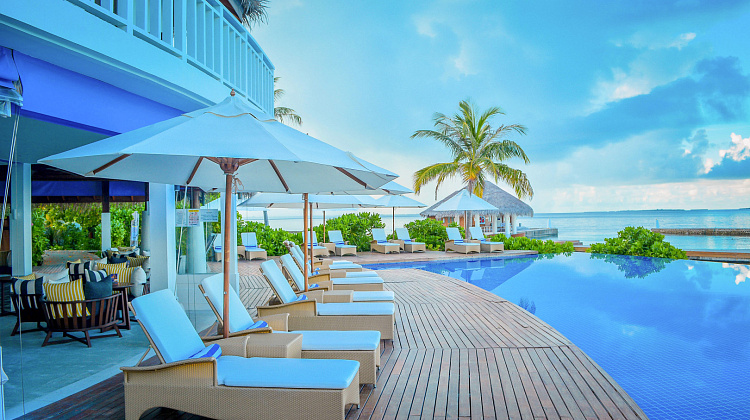 Картинка - 6