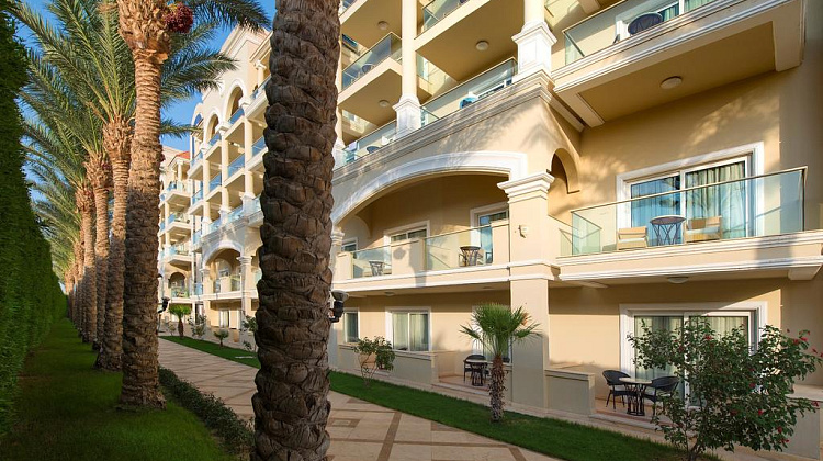 Картинка - 3