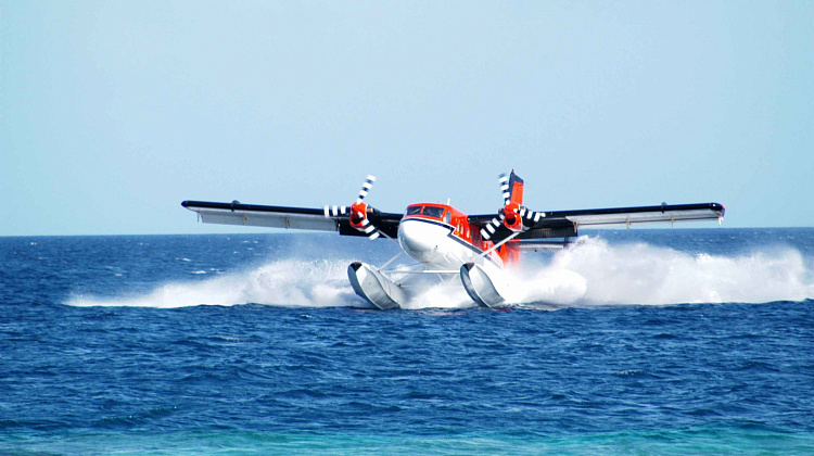 Картинка - 11