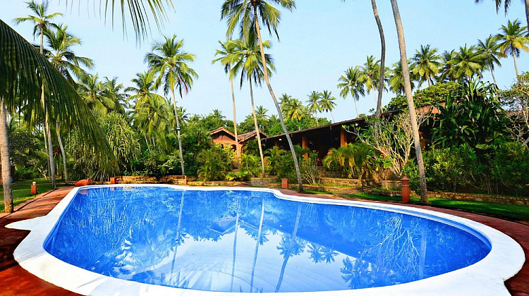 Картинка - 2