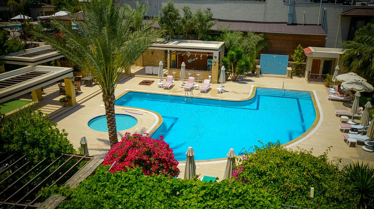 Картинка - 5