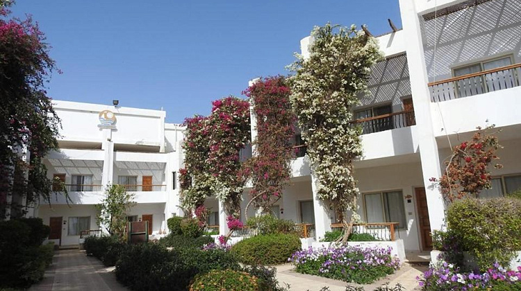 Картинка - 6