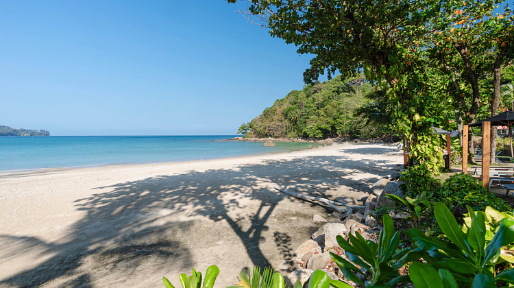 Картинка - 21