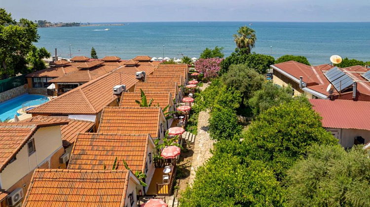 Картинка - 4