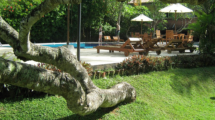 Картинка - 6