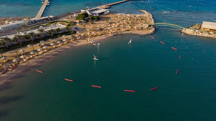 Картинка - 3