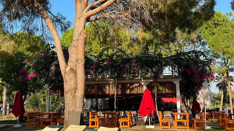 Картинка - 8