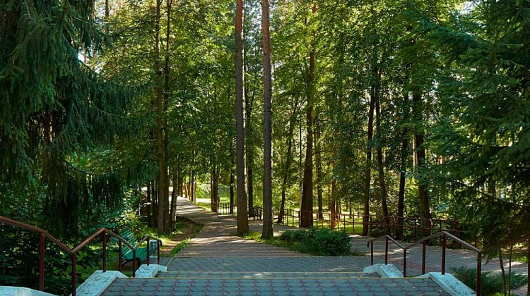 Картинка - 4