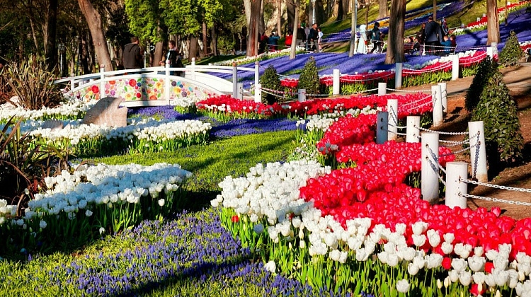 Картинка - 4