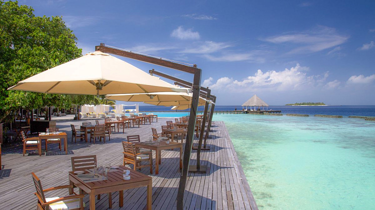 Картинка - 6