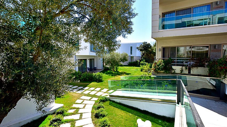 Картинка - 4