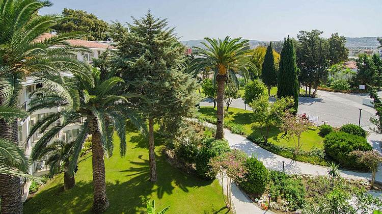 Картинка - 3