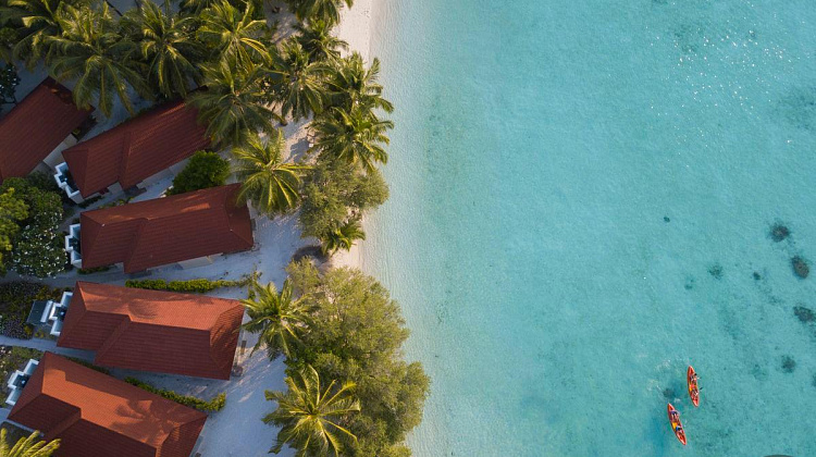 Картинка - 5