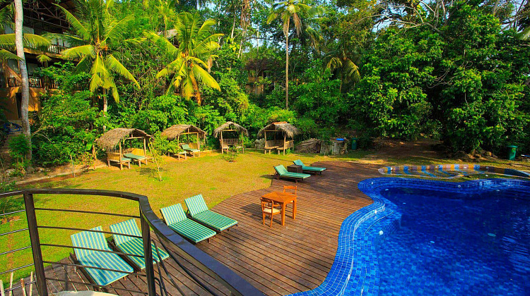 Картинка - 1