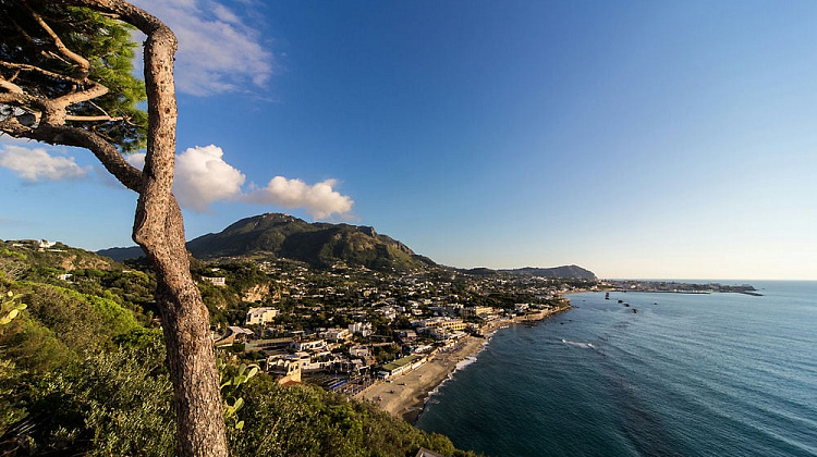 Картинка - 1