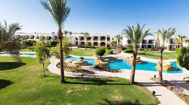 Картинка - 20