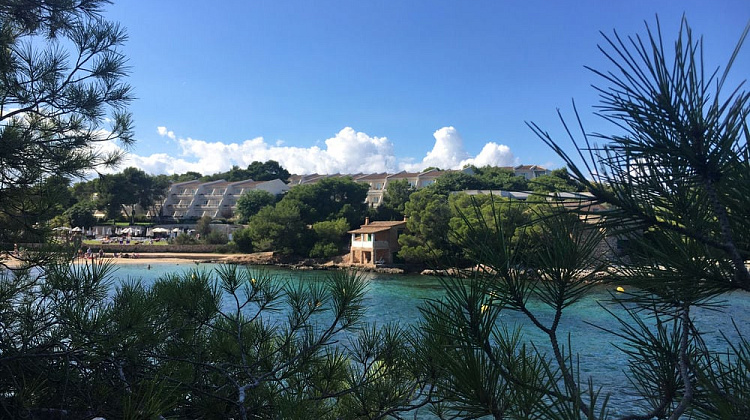 Картинка - 3