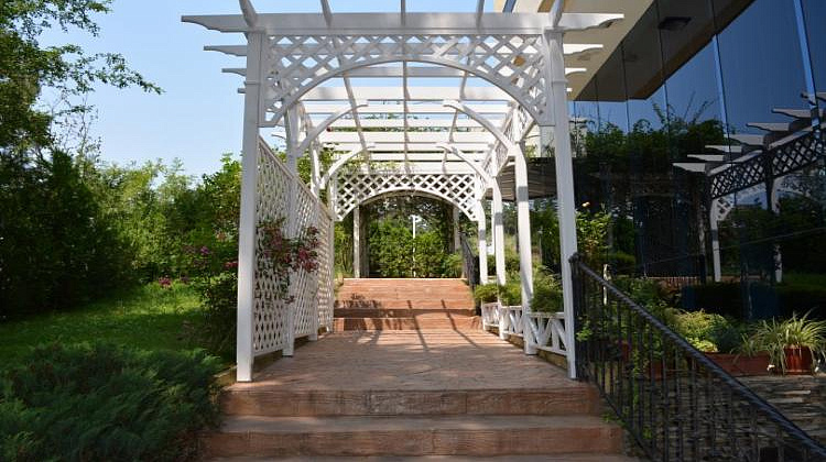 Картинка - 9