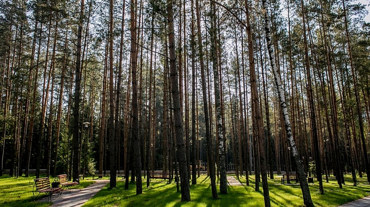 Картинка - 3