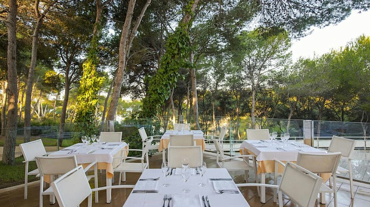 Картинка - 8