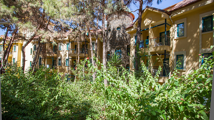 Картинка - 6