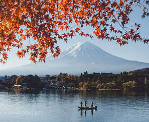 ЯПОНСКИЕ КЛЕНЫ, ГОРЯЧИЕ ИСТОЧНИКИ И СНЕЖНЫЕ ОБЕЗЬЯНЫ