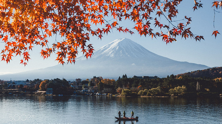 Картинка - 1