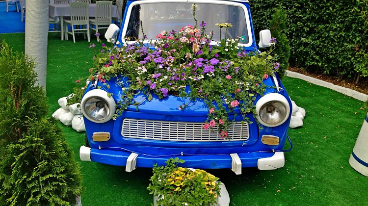 Картинка - 3