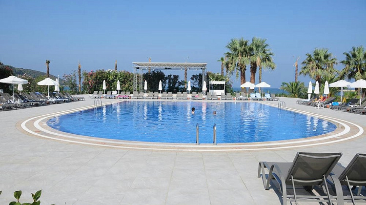 Картинка - 17