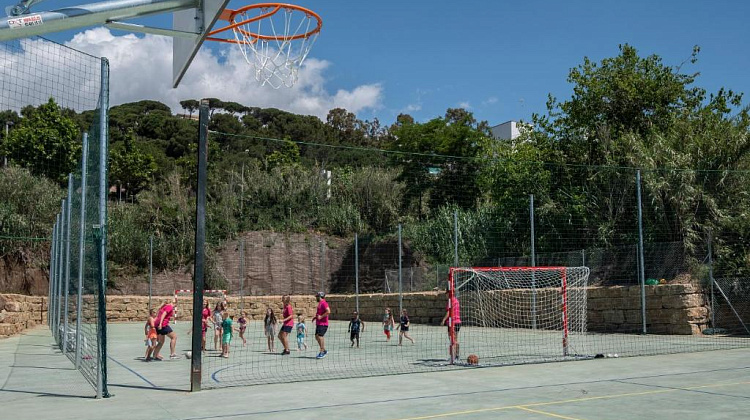 Картинка - 7