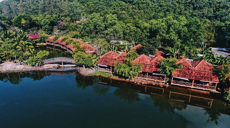 Картинка - 1