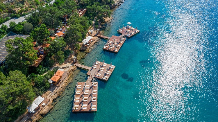 Картинка - 2