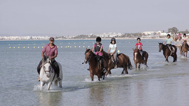 Картинка - 4