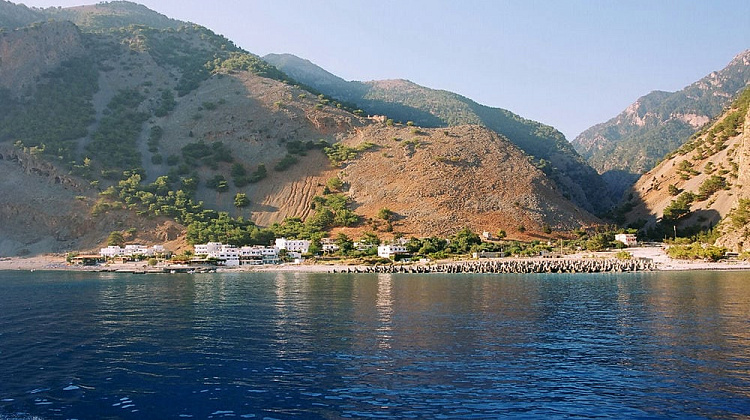 Картинка - 1