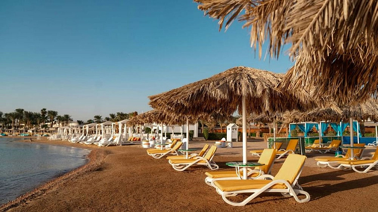 Картинка - 8