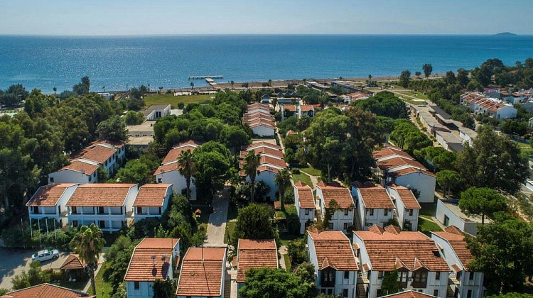 Картинка - 2