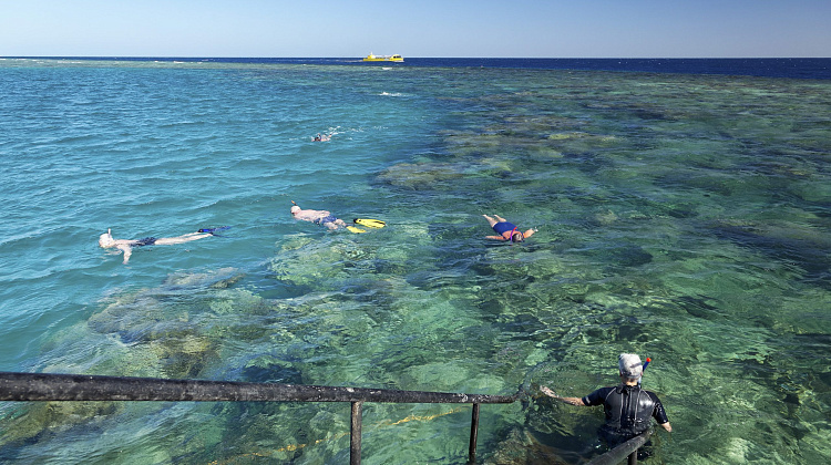 Картинка - 12