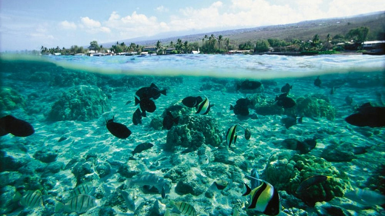 Картинка - 4