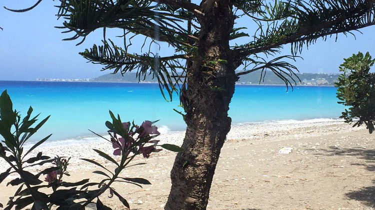 Картинка - 1