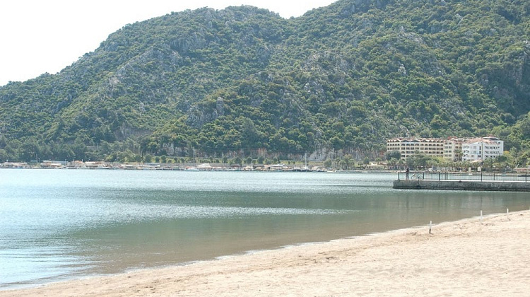 Картинка - 8