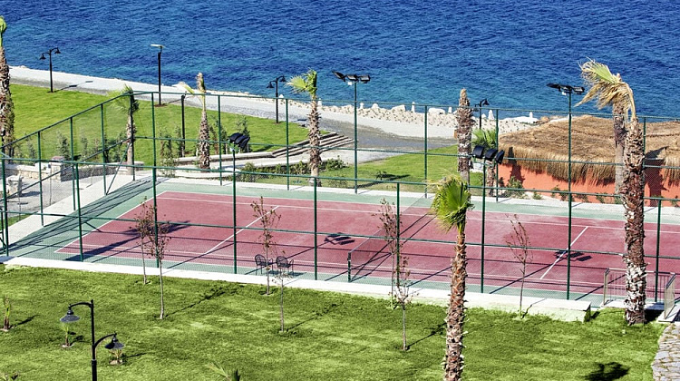 Картинка - 16