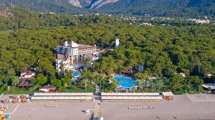 Картинка - 1