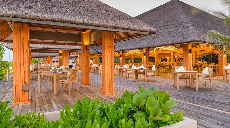 Картинка - 5