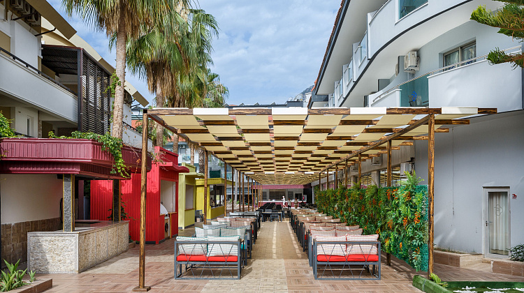 Картинка - 16